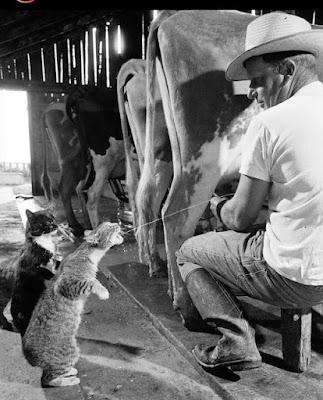 Lobato dimite y declara en el Supremo…Horas más tarde, comienza, en Sevilla, el 41 Congreso Federal del PSOE. Lobato dimite y declara en el Supremo…Horas más tarde, comienza, en Sevilla, el 41 Congreso Federal del PSOE.