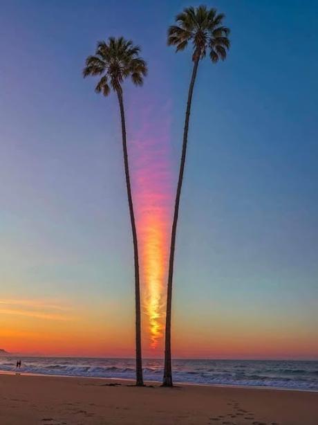 Lobato dimite y declara en el Supremo…Horas más tarde, comienza, en Sevilla, el 41 Congreso Federal del PSOE. Lobato dimite y declara en el Supremo…Horas más tarde, comienza, en Sevilla, el 41 Congreso Federal del PSOE.