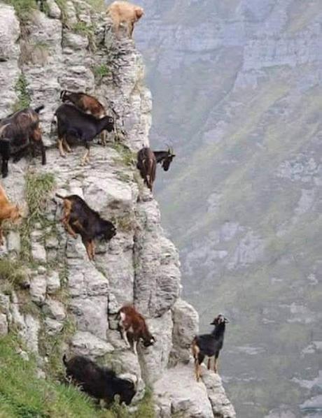 Lobato dimite y declara en el Supremo…Horas más tarde, comienza, en Sevilla, el 41 Congreso Federal del PSOE. Lobato dimite y declara en el Supremo…Horas más tarde, comienza, en Sevilla, el 41 Congreso Federal del PSOE.