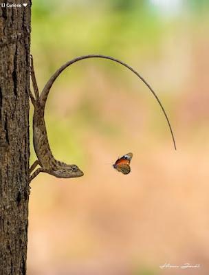 Lobato dimite y declara en el Supremo…Horas más tarde, comienza, en Sevilla, el 41 Congreso Federal del PSOE. Lobato dimite y declara en el Supremo…Horas más tarde, comienza, en Sevilla, el 41 Congreso Federal del PSOE.