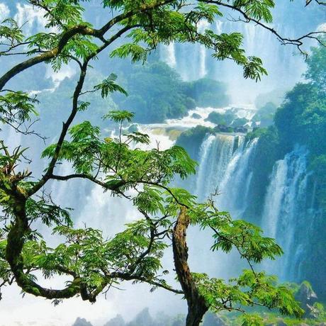 La Felicidad de Viajar: Un Viaje Hacia el Bienestar