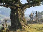 Felicidad Viajar: Viaje Hacia Bienestar