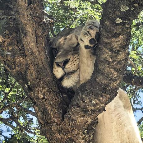 La Felicidad de Viajar: Un Viaje Hacia el Bienestar