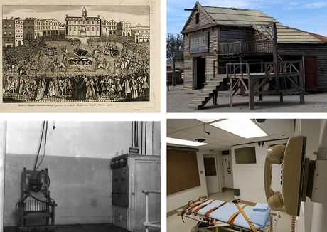 Decidido - Robert Sapolsky Decidido - Robert Sapolsky