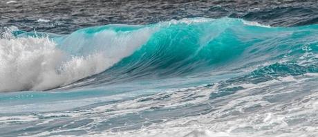 Olas de Mundaka en Canal+
