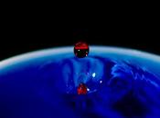 Griffin's Sound Chaser Seven Ages Starlight (2022)