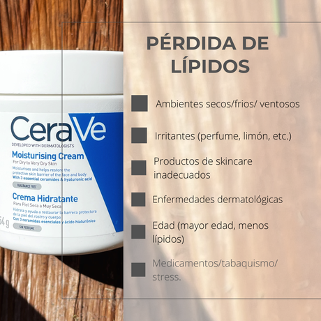 qué es la perdida de lípidos que genera maneras de evitarla Cremas cerave Argentina limpiador crema hidratante línea completa hidratante limpiadoras contorno de ojos manos gel limpiador espumoso pies piel grasa seca gel espumoso