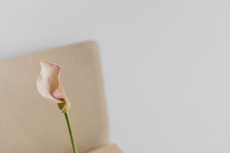 Culla, un tesoro en el Alto Maestrazgo que permanece impasible al paso del tiempo