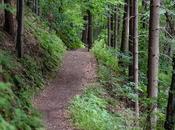 Fuciño Porco: sendero película Mariña lucense