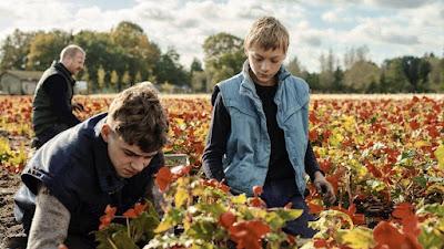 Close + Cuentos escogidos y La casa encantada de Shirley Jackson