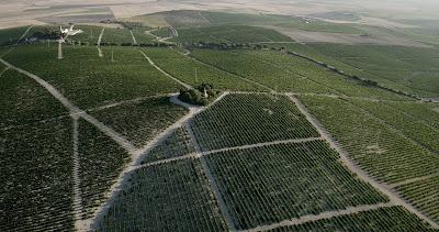 El Sabor de los Pagos de Jerez El Sabor de los Pagos de Jerez