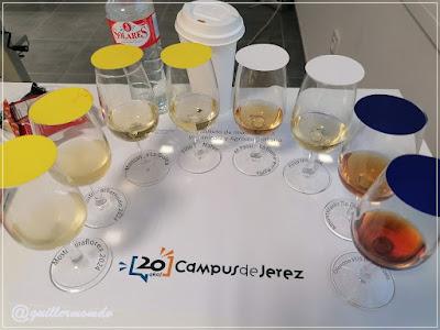 El Sabor de los Pagos de Jerez El Sabor de los Pagos de Jerez