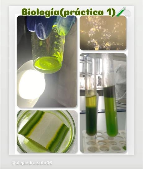 🐳 Ciencias del Mar 🐙