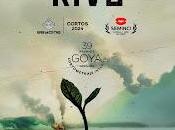 Semillas Kivu Néstor López Carlos Valle Casas: Resiliencia esperanza