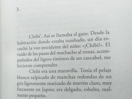 El gato que venía del cielo, Takashi Hiraide