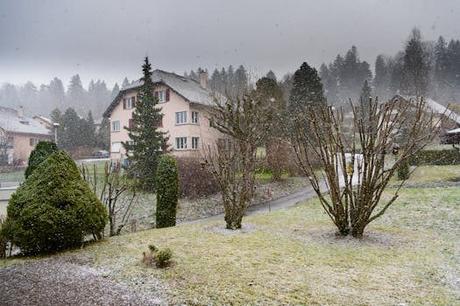 Hudson Yards: qué puntos no perderte en tu ruta Hudson Yards: qué puntos no perderte en tu ruta