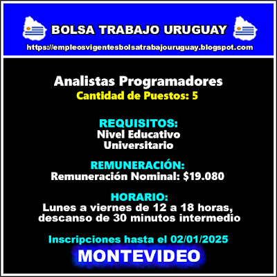 Analistas Programadores