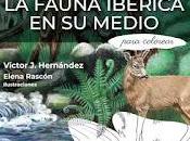 fauna ibérica medio para colorear