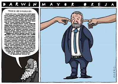 El puente más esperado del año.