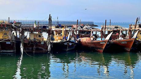 KUWAIT : UN PAÍS PARTICULAR KUWAIT : UN PAÍS PARTICULAR