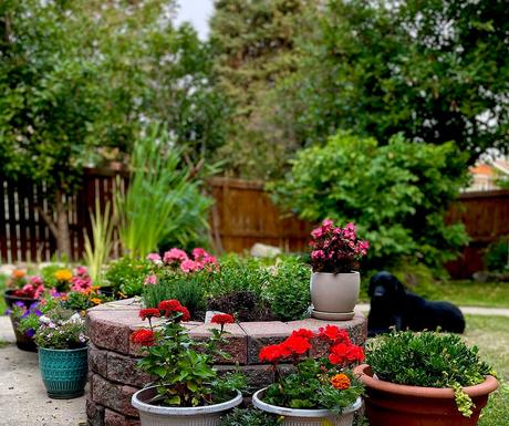 Cultiva HIERBAS FRESCAS con Estilo 8 Cultiva HIERBAS FRESCAS con Estilo 8