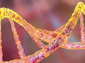 Cuando genes hablaron: giro inesperado hacia vida gluten