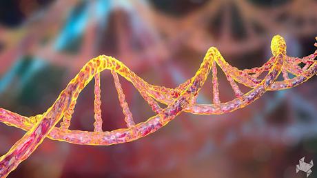 Cuando mis genes hablaron: el giro inesperado hacia una vida sin gluten