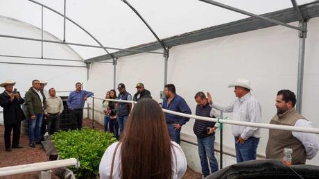Gobierno Estatal impulsa sistema de acuaponía en la Huasteca para un campo sostenible