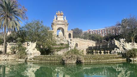Gaviotas Reidoras con anilla en el Parc de la Ciutadella Gaviotas Reidoras con anilla en el Parc de la Ciutadella