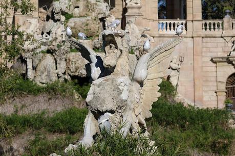 Gaviotas Reidoras con anilla en el Parc de la Ciutadella