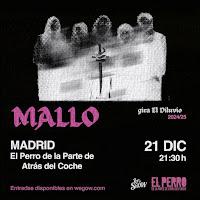 Concierto de Mallo en El perro de la parte de atrás del coche