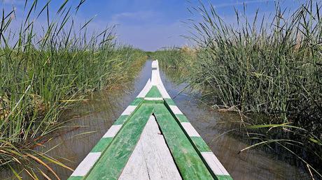 IRAK : LOS ÚLTIMOS ÁRABES DE LAS MARISMAS IRAK : LOS ÚLTIMOS ÁRABES DE LAS MARISMAS