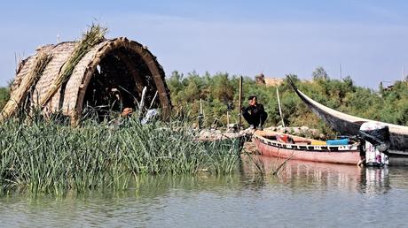 IRAK : LOS ÚLTIMOS ÁRABES DE LAS MARISMAS IRAK : LOS ÚLTIMOS ÁRABES DE LAS MARISMAS