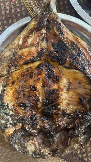 IRAK : LOS ÚLTIMOS ÁRABES DE LAS MARISMAS IRAK : LOS ÚLTIMOS ÁRABES DE LAS MARISMAS