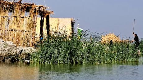 IRAK : LOS ÚLTIMOS ÁRABES DE LAS MARISMAS IRAK : LOS ÚLTIMOS ÁRABES DE LAS MARISMAS