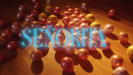 “Señorita”: Ketterer lanza nuevo video dirigido por Bernardo Quesney unnamed