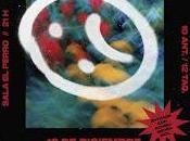 Montesco perro parte atrás coche