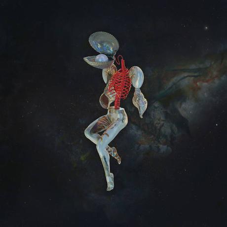 Hail Spirit Noir - Fossil Gardens (2024) Hail Spirit Noir - Fossil Gardens (2024)