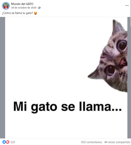 El post con más éxito que he creado sólo tenía 7 palabras y 1 emoticono post facebook gatos
