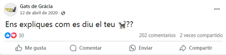 El post con más éxito que he creado sólo tenía 7 palabras y 1 emoticono contenidos gatos