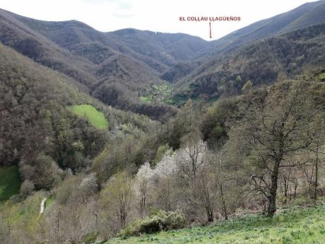 La Reboḷḷada-Cuarmichán-La Sierra la Serrantina-L´Escureo-El Tornu