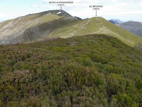 La Reboḷḷada-Cuarmichán-La Sierra la Serrantina-L´Escureo-El Tornu