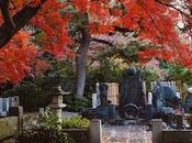 Cementerio japonés: viaje entre momiji espiritualidad