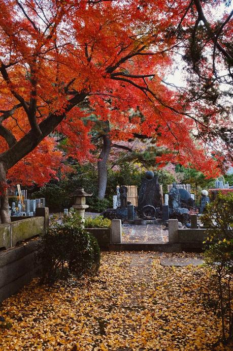 CEMENTERIO JAPONÉS: UN VIAJE ENTRE EL MOMIJI Y LA ESPIRITUALIDAD 2