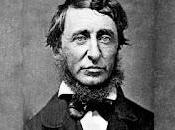 poema cada día. Hoy, lluvia verano, Thoreau (1817-1862)