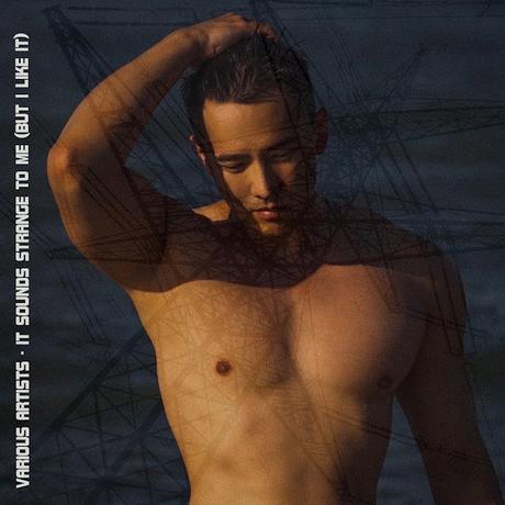 V.A -IT SOUNDS STRANGE TO ME (BUT I LIKE IT)