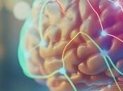 Cómo ejercicio impulsa crecimiento neuronal mejora función cerebral, según estudio