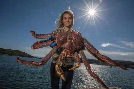 Del Salmón ahumado al gigante King Crab