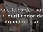 Beneficios usar purificador agua casa