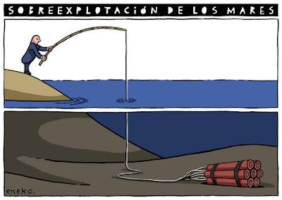 Los agricultores protestan contra el acuerdo con Mercosur…Y el rey Felipe VIº condecora a Meloni con una medalla. Los agricultores protestan contra el acuerdo con Mercosur…Y el rey Felipe VIº condecora a Meloni con una medalla.